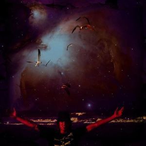 Meet your Posher, Jackson